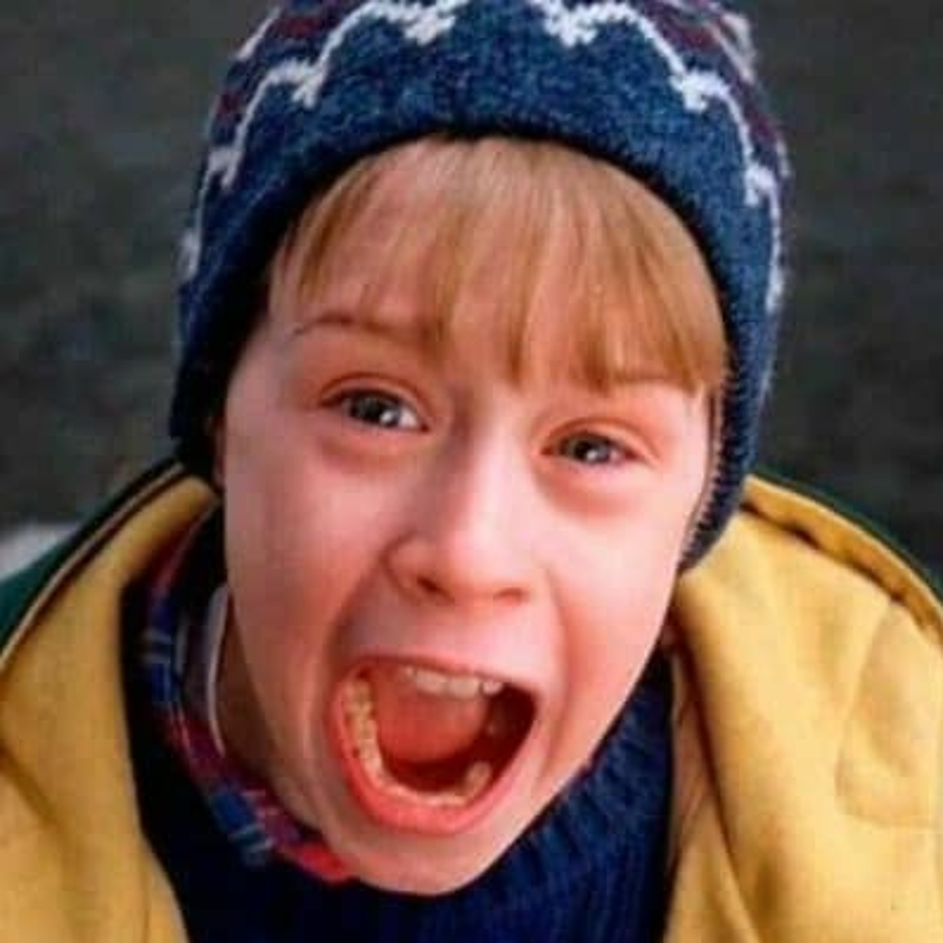 HOME ALONE 2 : LOST IN NEW YORK