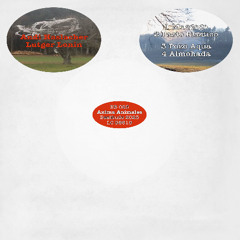 Andi Haslacher & Lutger Lonin - Anima Animales (Snippet)