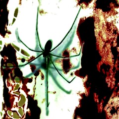 In a computer ( last song )