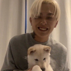 허성현 - 강아지