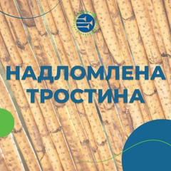 Надломлена тростина [103] РАНКОВИЙ РИТМ