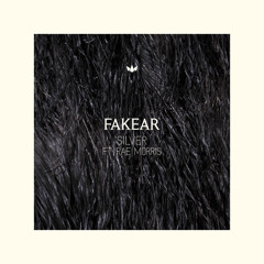 Silver (feat. Rae Morris)