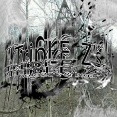 HOLO22K & LXGAN - TRIPLE Z'S ***TOXXIC LEAK