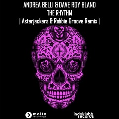 [IDK017] The Rhythm (Asterjackers & Robbie Groove Remix Edit)