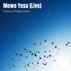 Mewo Yesu (Live)