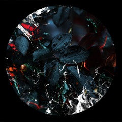 Premiere: Decoder - Dreamscape [Illegal Alien LTD]