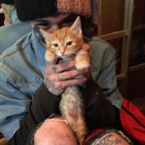 Copy of апфс speed up