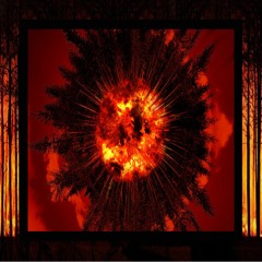 Forest Fire