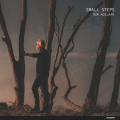 Small Steps