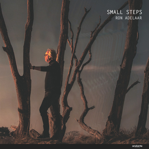 Small Steps