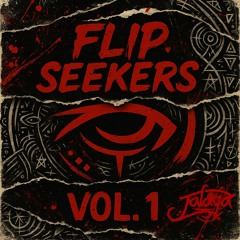Flip Seekers Vol. 1