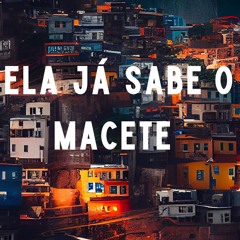 MC LEKÃO - ELA JA SABE O MACETE ( DJS MIBI E DA PENHA 22 )