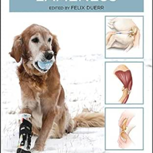 Access EPUB 📙 Canine Lameness by Felix Duerr EPUB KINDLE PDF EBOOK