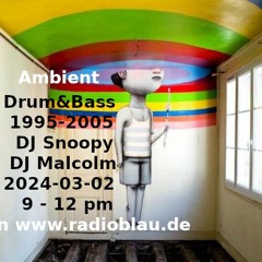 DJ Snoopy & DJ Malcolm  - Ambient Jungle and Drum & Bass 1995 - 2005