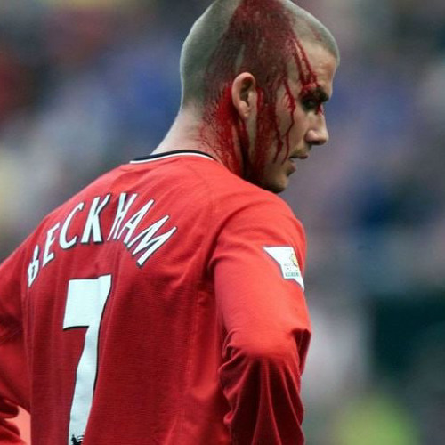 INTRO +КИНОПЛЕНКА (blsq)