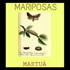 Mariposas DEMO