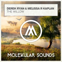 Derek Ryan & Melissa R Kaplan - The Willow