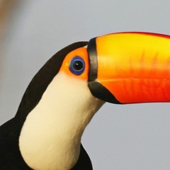 Arbejder På Bones (feat. Carlos G)