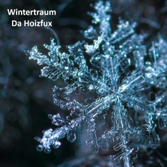 Wintertraum (Hans Söllner Cover)