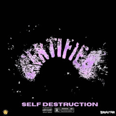 SELF DESTRUCTION (CD DISS)  - BroA$taR [prod zoowe]