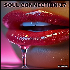 SOULFUL HOUSE CONNECTION 17