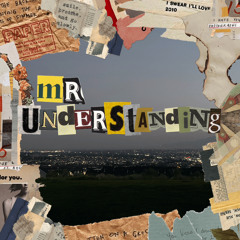 MrUnderstandin