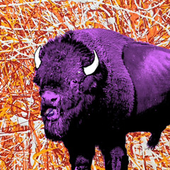 live @ the purple buffalo | 12.21.22