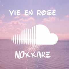 Vie en rose - Lil Vibes Noxx