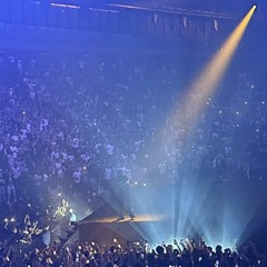 Bernobolted x Sinze - Betta Work