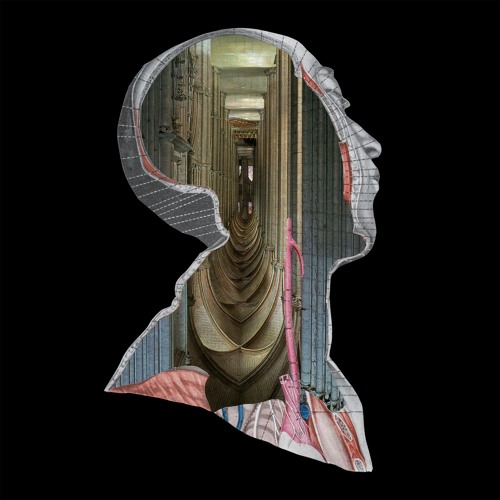 Cloistered Anatomy - Part V