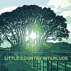 Little Country Interlude (For two guitars & bass)