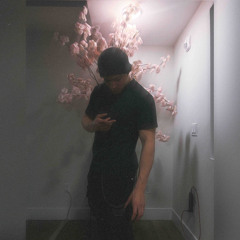 The party never stops(1 song)