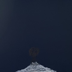 Lonely