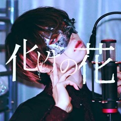 BAKENOHANA / Ver.Chogakusei【超学生】化けの花 @歌ってみた