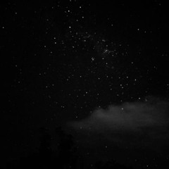 WHAT DO YOU MEAN? (prod. Tohruxd)