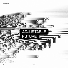 Adjustable Future