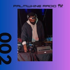 Palmwhine Radio Show #002 (SKRiiM Takeover)