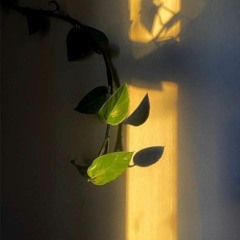 بدون مؤثرات - تلاوة هادئة من سورة يونس - آناء الليل