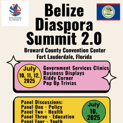 CT- BZE DIASPORA SUMMIT 2.0