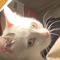 Hoje faz sol tipo o teu 😀