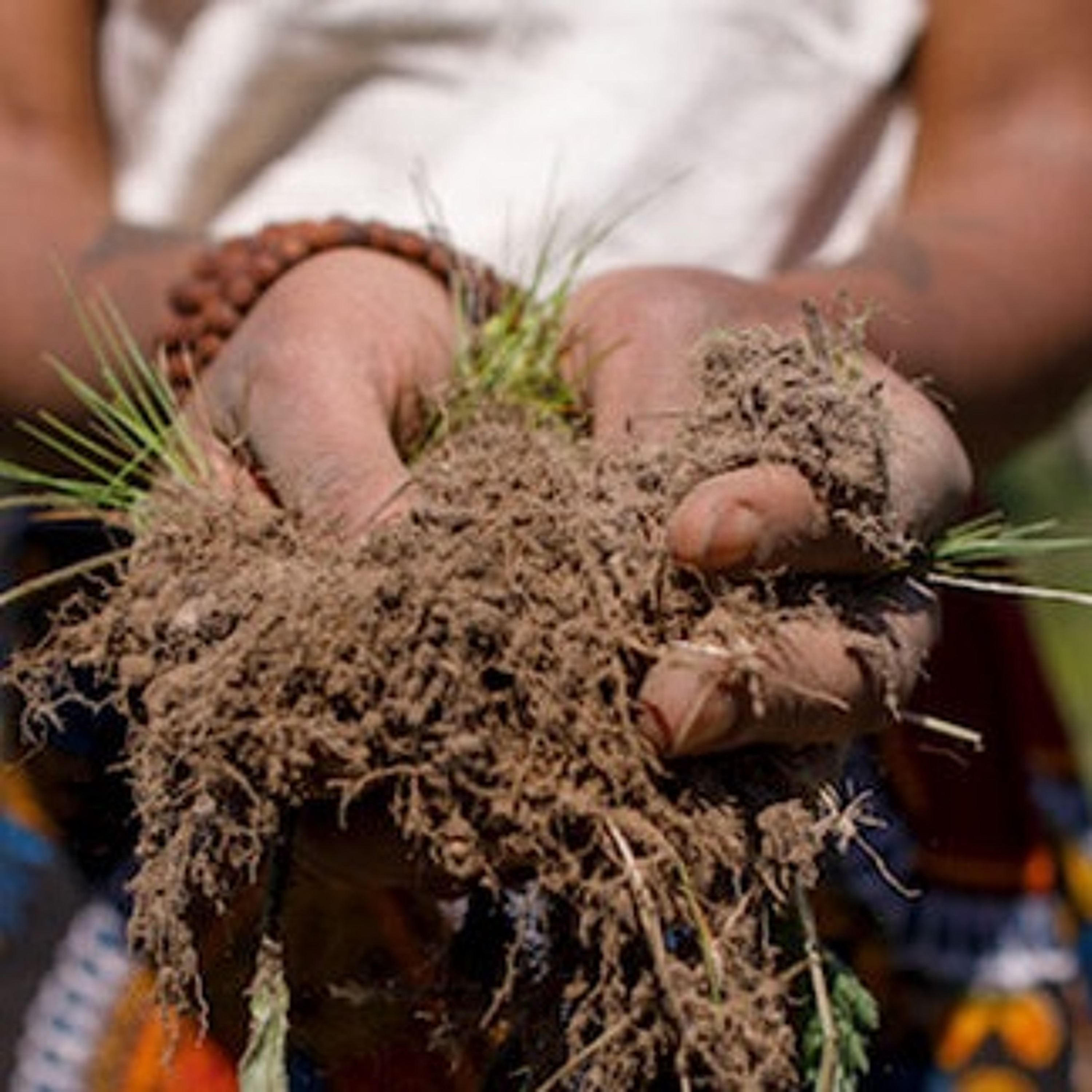 Exploring Nature, Culture and Inner Life