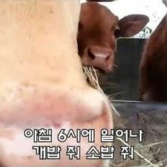 유기농 이지농 Easy Nong 개밥줘 소밥줘  (Feat. 유성은 U Sung Eun) (128  kbps) (s.shabakngy.com).mp3