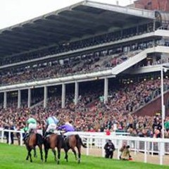 Cheltenham celebrations prompt renewed call for ban on horse racing