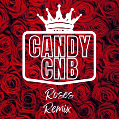Outkast - Roses (CANDYCNB Remix)