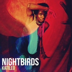 Nightbirds #11