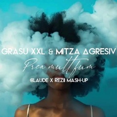 Grasu XXL & Mitza Agresiv - Prea mult fum (Claude x Rezii Afro Mash-up) V2 MASTER