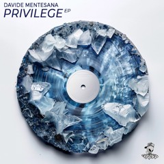 Davide Mentesana - Privilege (Original Mix)