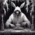 Artwork for White rabbit