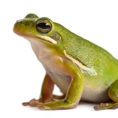 emot1con @ Gay Jazz 15