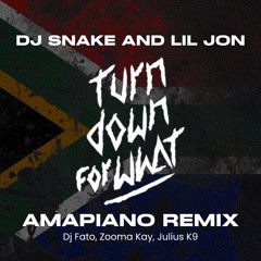 Dj Snake and Lil Jon - Turn Down For What (AMAPIANO REMIX) by. Dj Fato, Zooma Kay & Julius K9